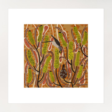Image for Candlestick Banksia | Print