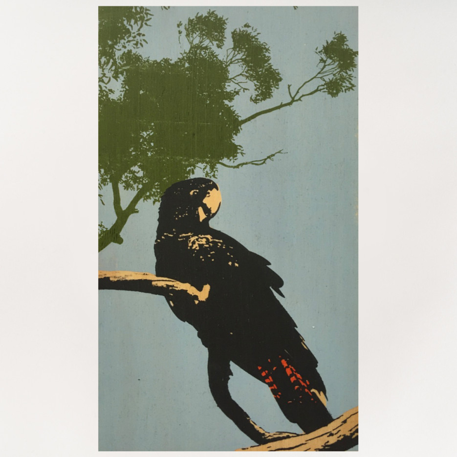 Image of Plywood Panel | Red Tailed Black Cockatoo