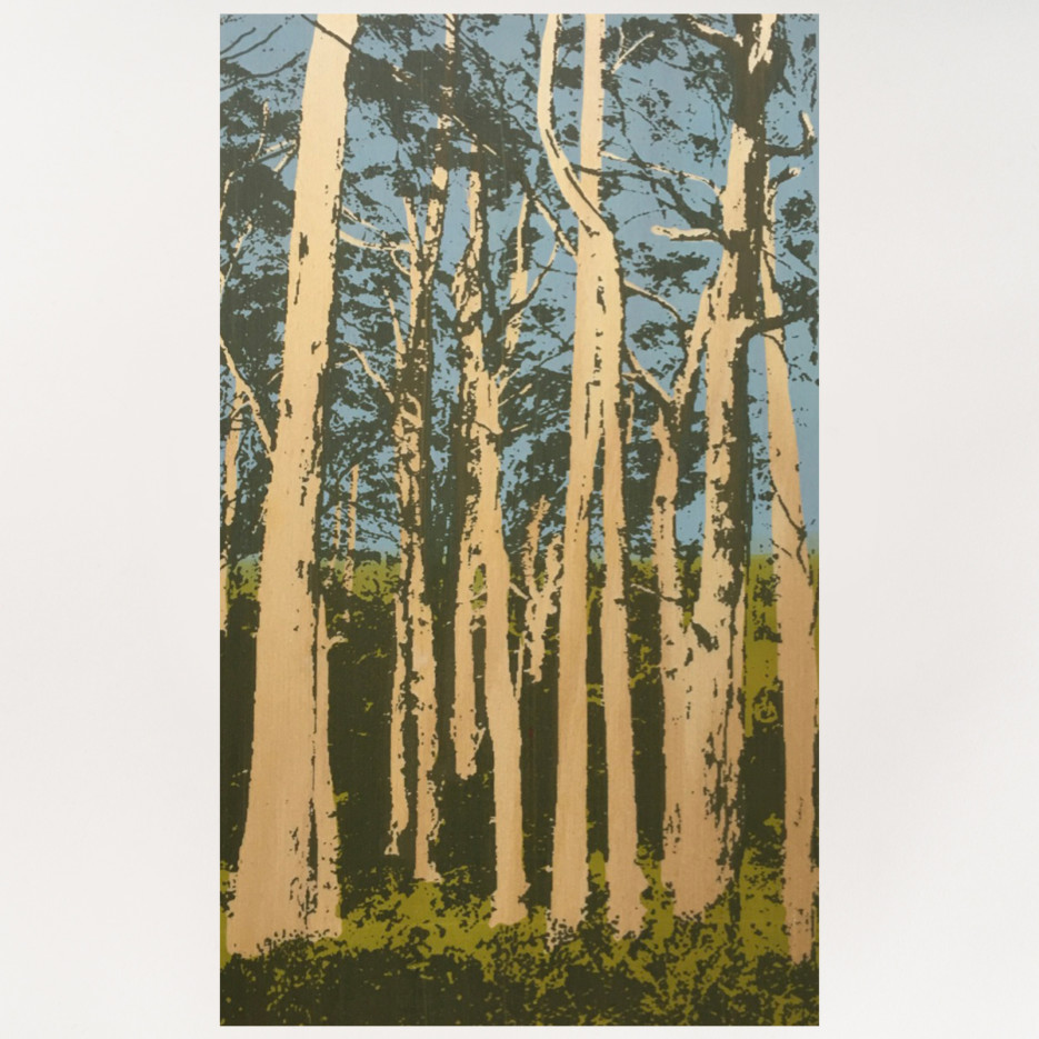 Image of Plywood Panel | Karri Trees