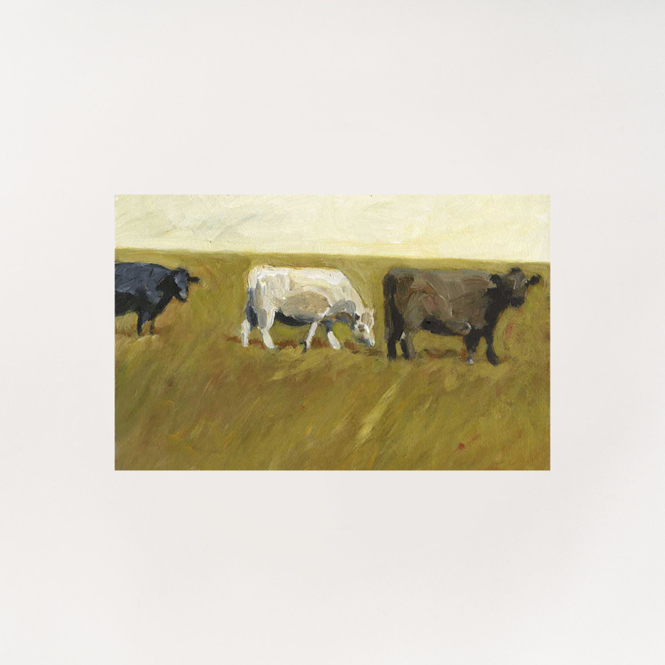 Image of Card | Cows