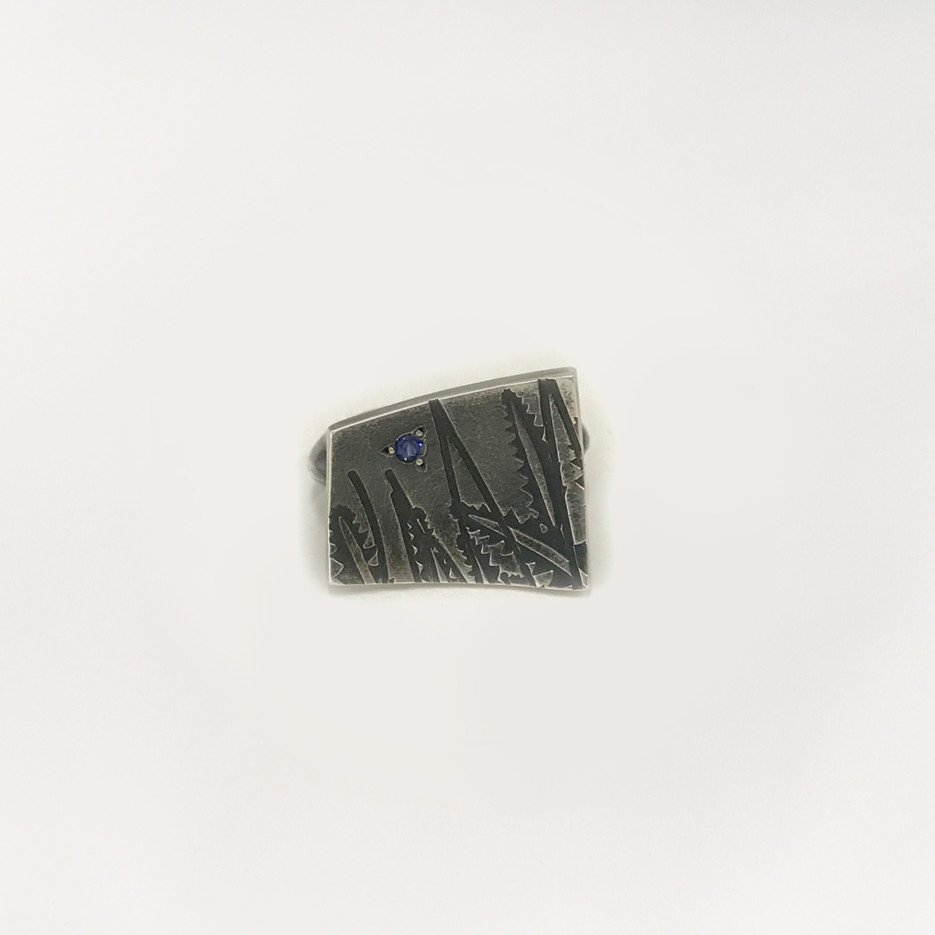 Image of Oxidised Sterling Silver Ring