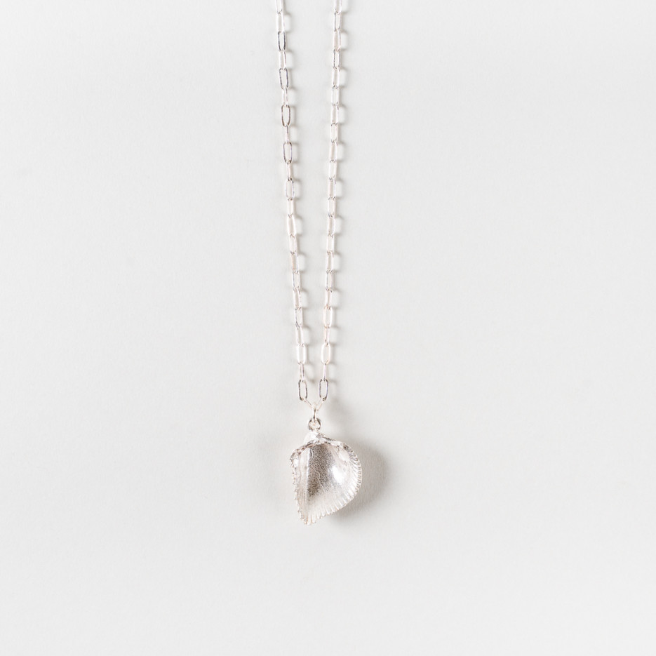 Image of Cockle Shell Necklace | Small