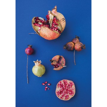 Image for A4 Print | Pomegranates