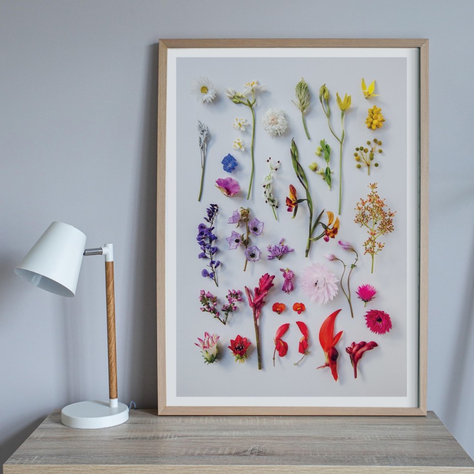 Image of A4 Print | Wildflower Spectrum