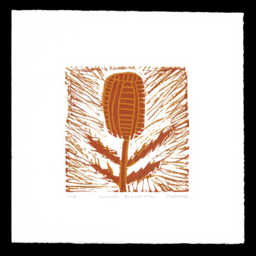 Image for Banksias,burnt orange over red (framed)