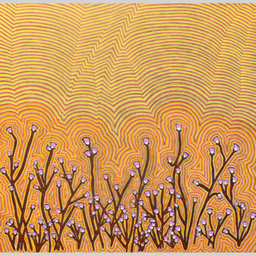 Image for Desert Flowers