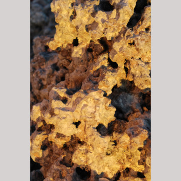 Image for Gold Nugget