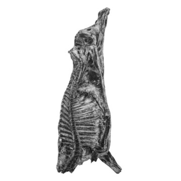 Image for Hand Drawn Wall Decal | Beef Carcass