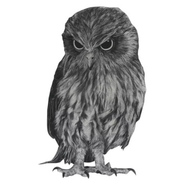 Image for Hand Drawn Wall Decal | Owl