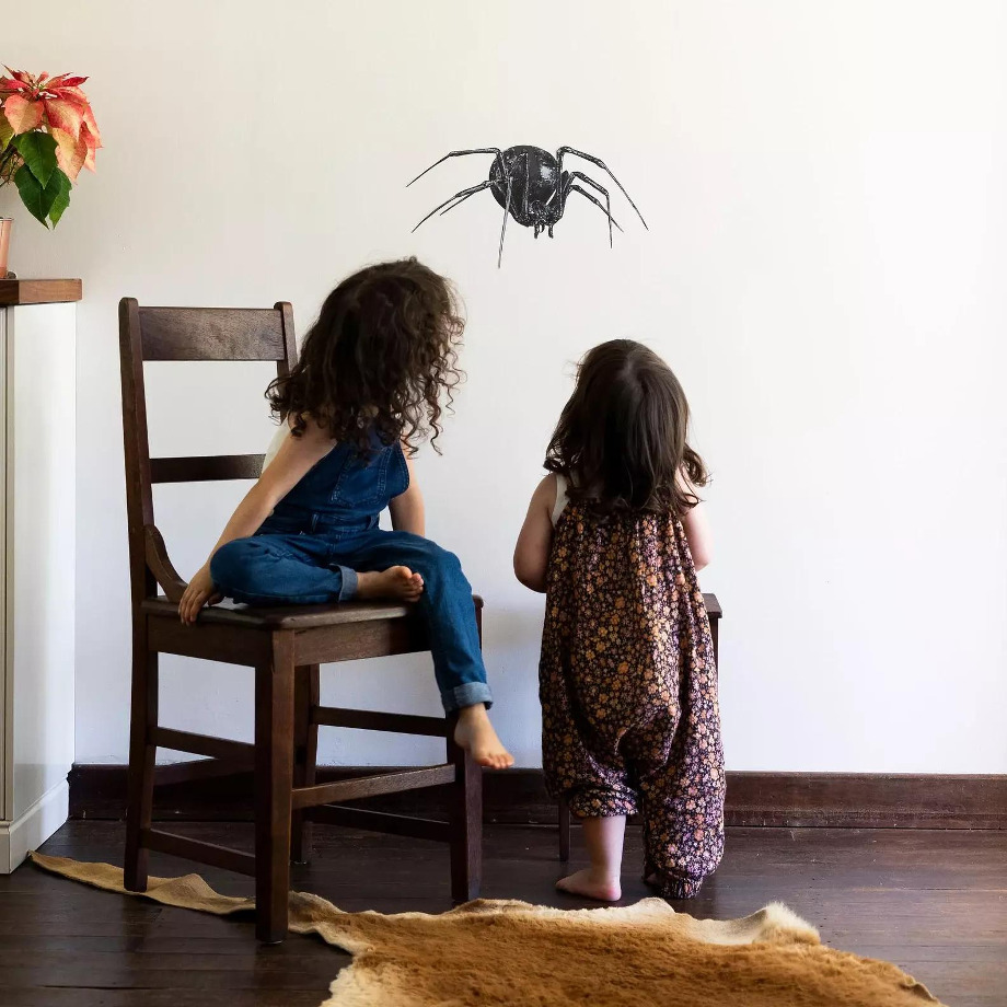 Image of Hand Drawn Wall Decal | Redback Spider