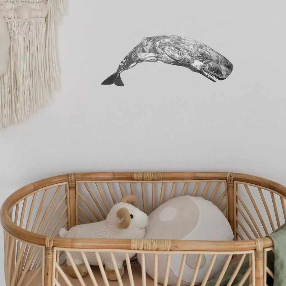 Image of Hand Drawn Wall Decal | Whale