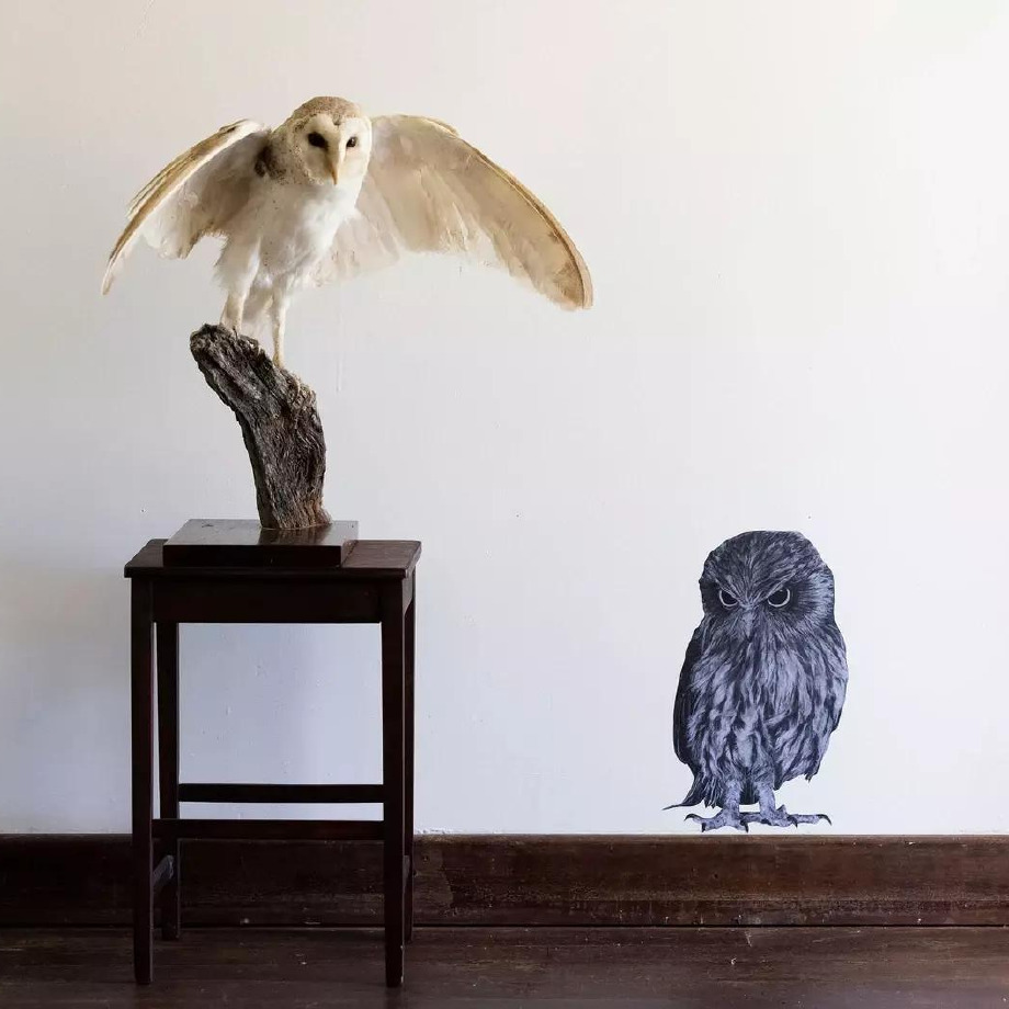 Image of Hand Drawn Wall Decal | Owl