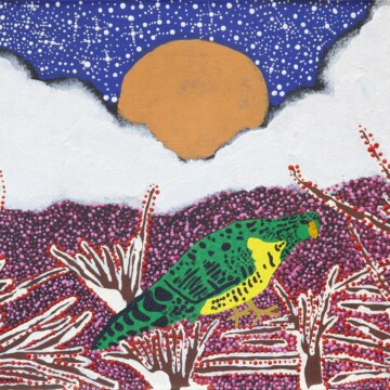 Image for Night Parrot