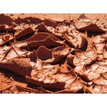 Image for Manta Pilti | Dry Sand