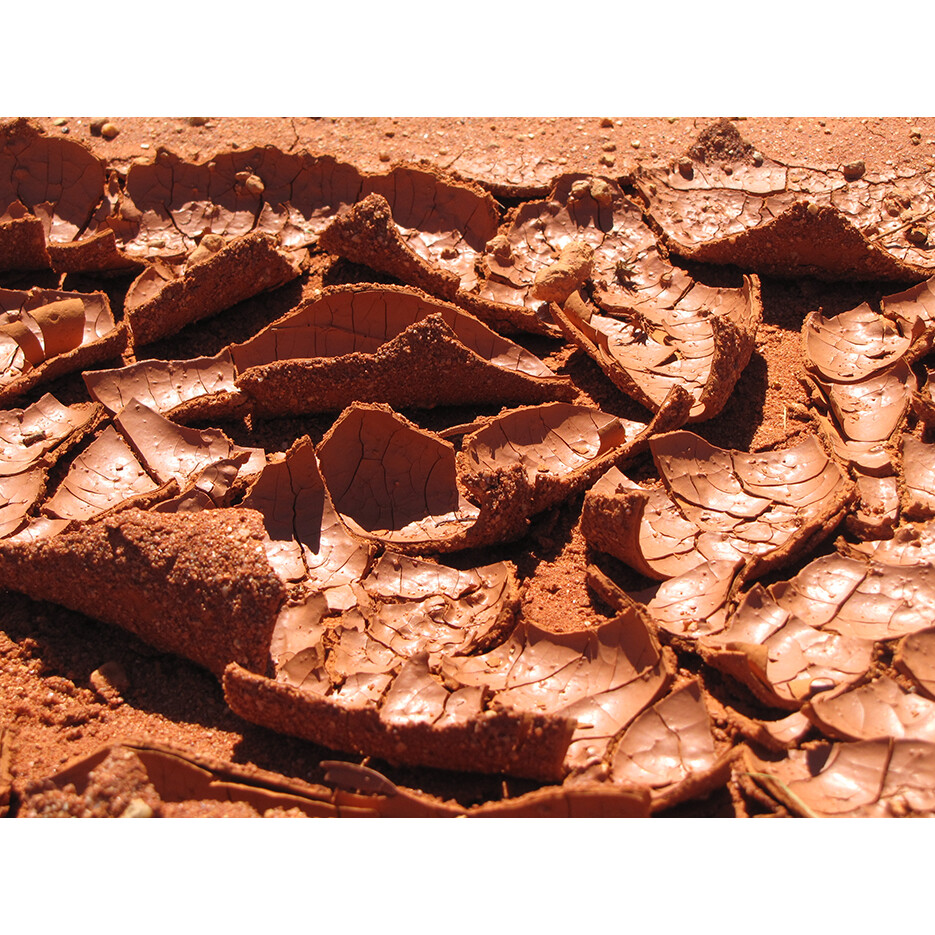 Image of Manta Pilti | Dry Sand